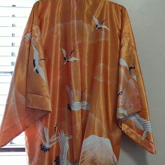 Vintage Juguemm Kimono - Picture 5 of 7